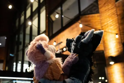 Two suiters under string lights, photo by Beefshanks