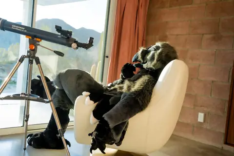 Lounging by the telescope, photo by Beefshanks
