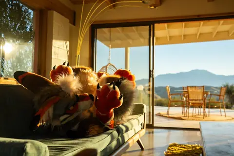 Couch pile with a view, photo by Beefshanks