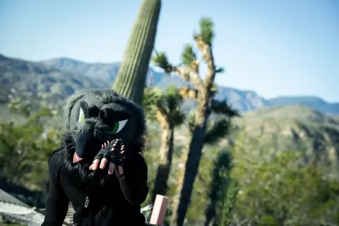 Desert portrait among the Joshua trees, photo by Beefshanks