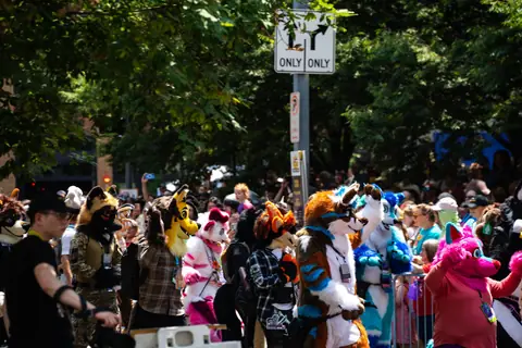 Suiters and spectators in the shade, photo by Beefshanks