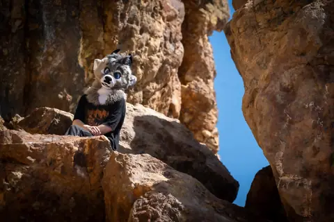 Perched in the rocks, photo by Beefshanks