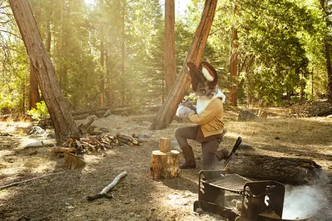 Morning light at camp, photo by Beefshanks
