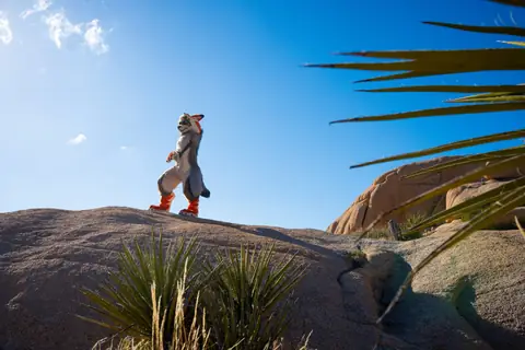 On top of the boulder, photo by Beefshanks