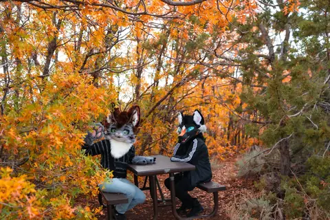 Autumn picnic, photo by Beefshanks