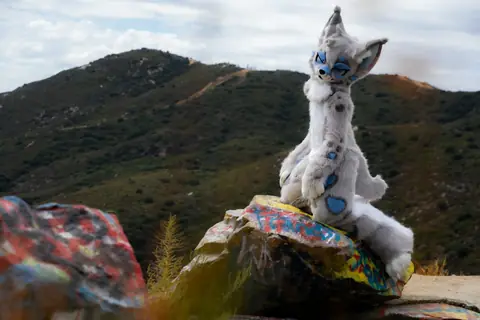 Hilltop pose on a painted rock, photo by Beefshanks