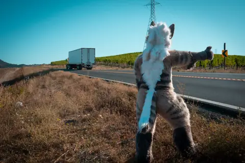 Hitching a ride on the highway shoulder, photo by Beefshanks