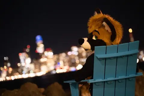City lights from the overlook, photo by Beefshanks